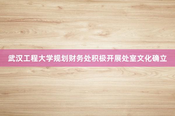 武汉工程大学规划财务处积极开展处室文化确立